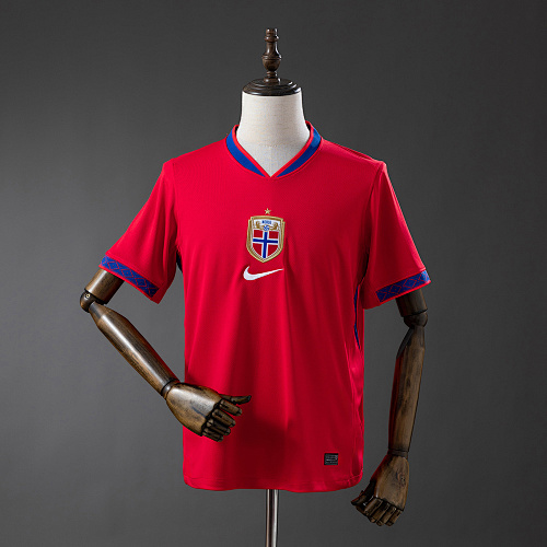 FIFA Norway Jersey