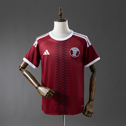FIFA Qatar Jersey