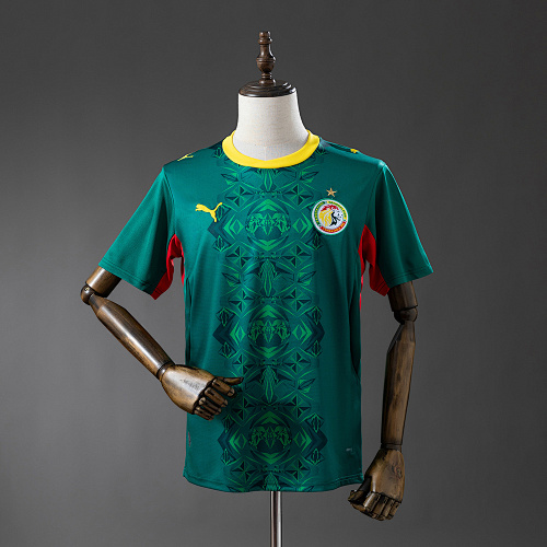 FIFA Senegal Jersey