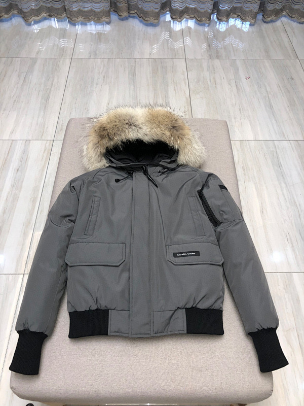 Canada Goose